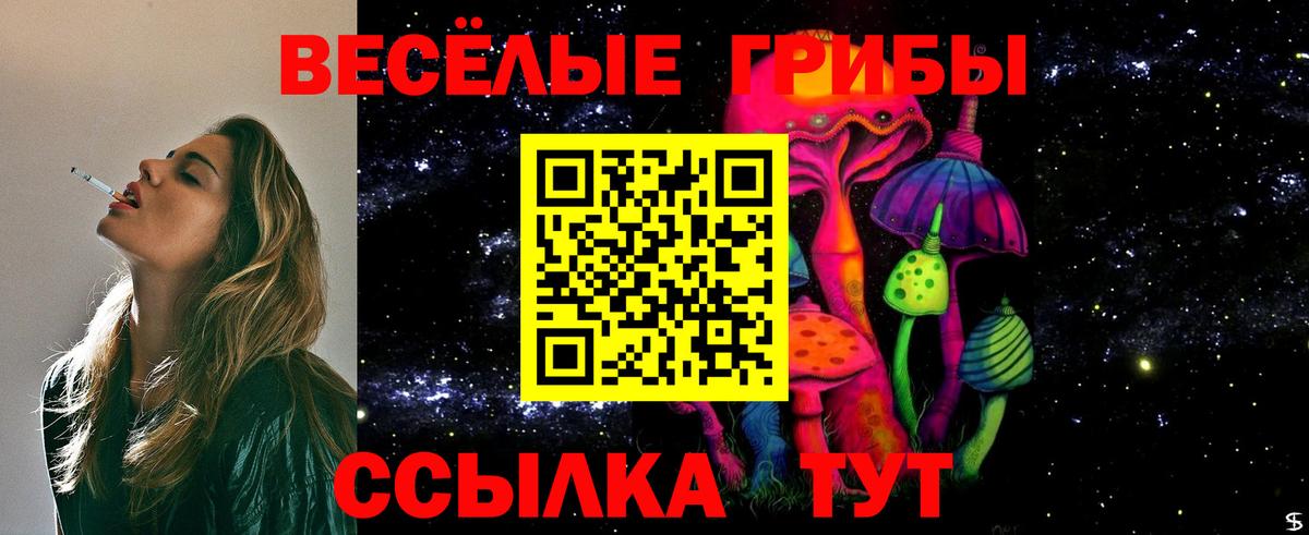 МЕФ Похвистнево