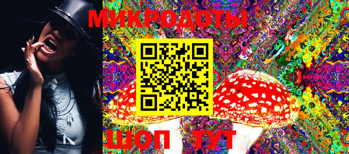 Галлюциногенные грибы Cubensis Похвистнево